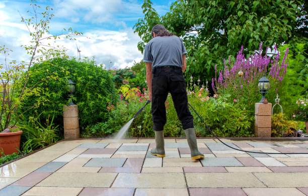Best Pre-Holiday Cleaning  in Portola Valley, CA